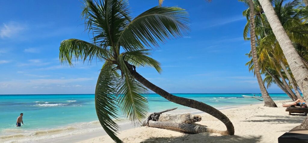 fb img 1765837911914