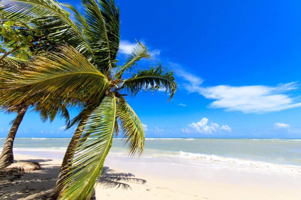 dominikana rajska plaża samana