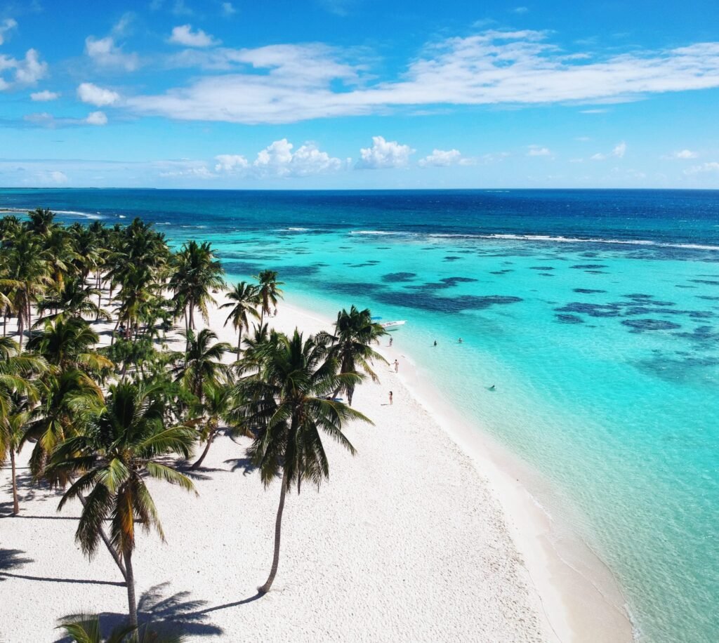 dcim/105media/dji 0220.jpg