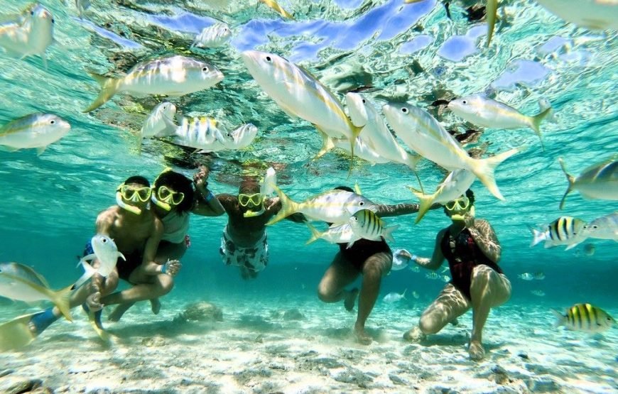 rajska wyspa snorkeling 870x555