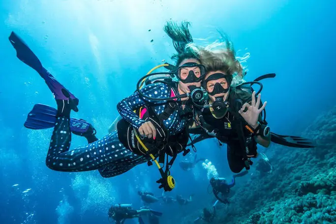 Catalina Scuba Diving