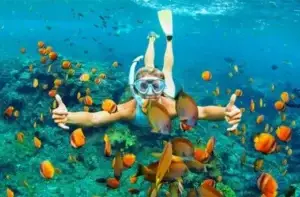 620201 ctalina island snorkeling 0