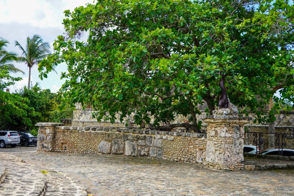 art00036 — kopia — kopia