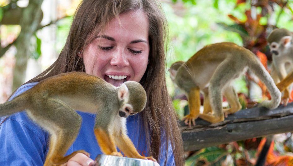 monkeyland república dominicana