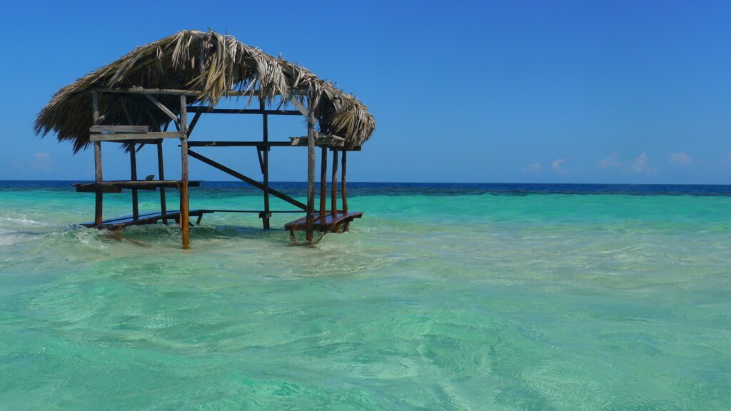 b639d787d61a0b75ff36558a702dd71a2eff8e1c