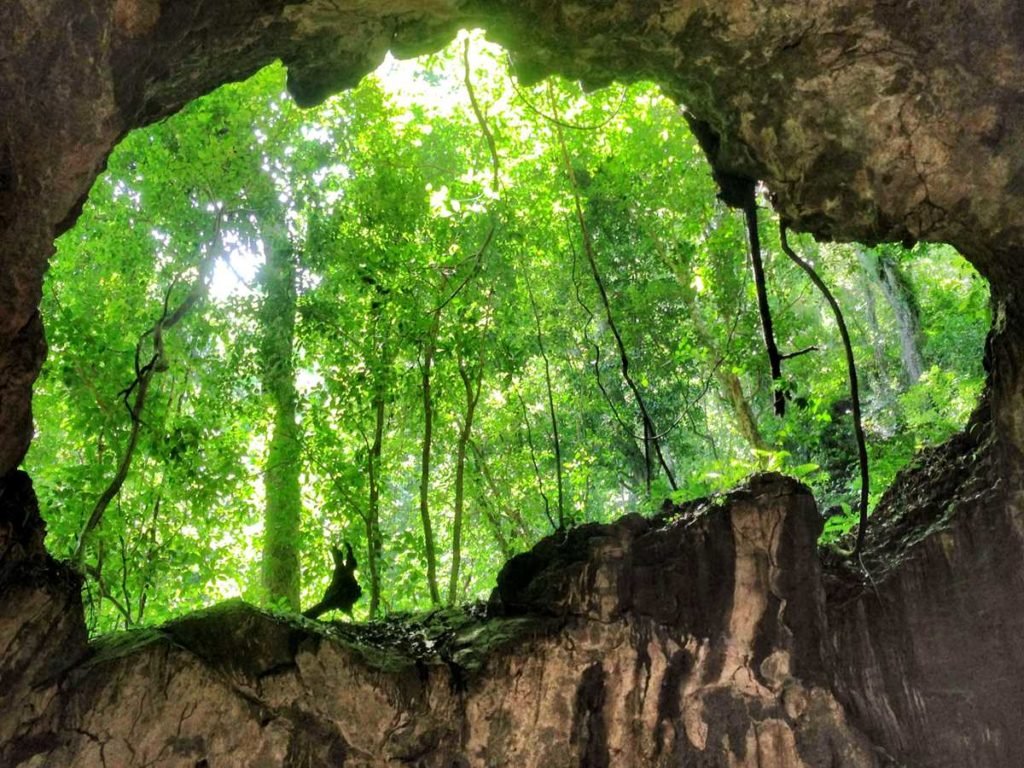 dominican republic 075 los haitises national park 1024x768