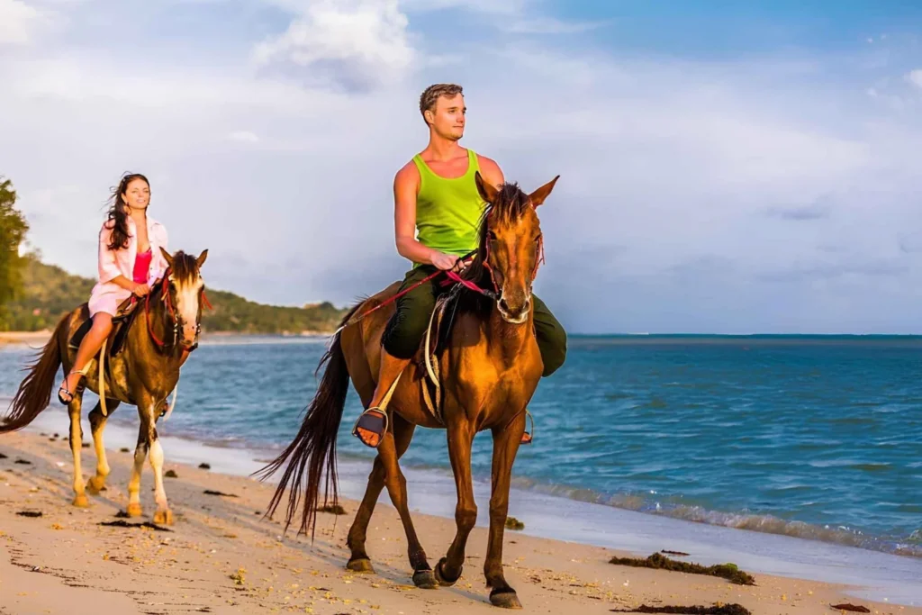 horseback riding by macao beach and crystal clear river 2209767
