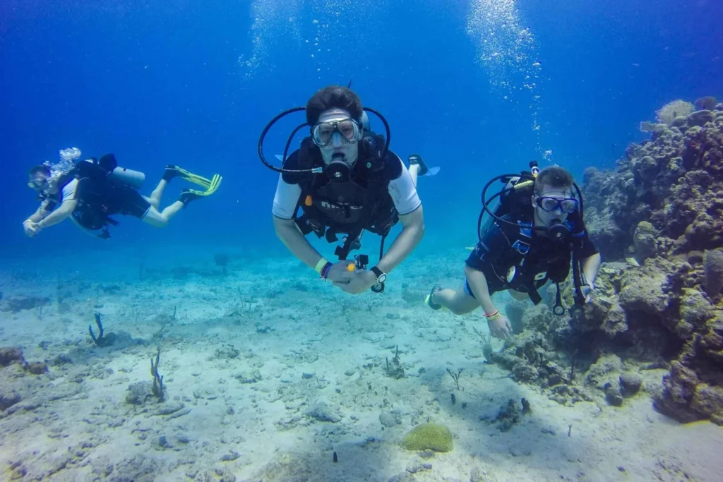 punta cana scuba diving adventure to catalina island 7283905