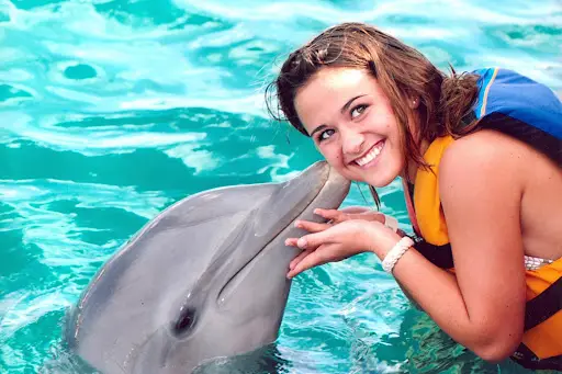 Dolphin Interaction